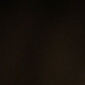 Meet your Posher, Payton